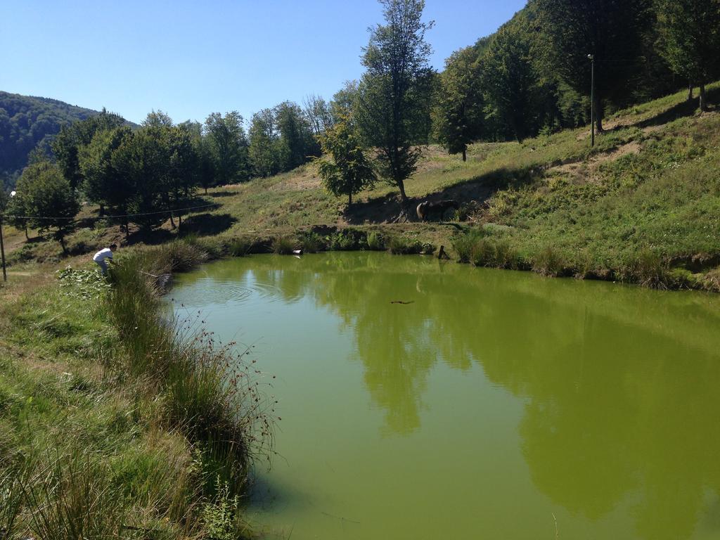 Pensiunea Poiana Verde Slănic-Moldova Exteriör bild