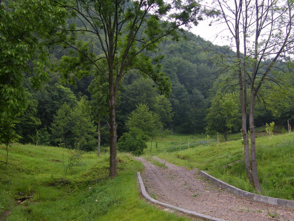 Pensiunea Poiana Verde Slănic-Moldova Exteriör bild